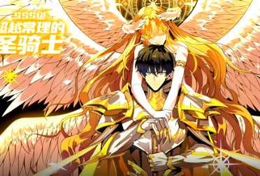 SSS级超越常理的圣骑士