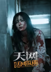 天网：法网纵横第11季