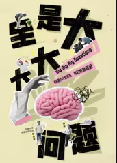 全是大问题