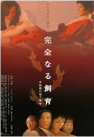 完美宠物：秘密地下室