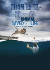 动物救了我一命