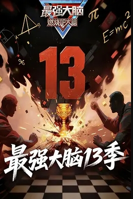 最强大脑第13季