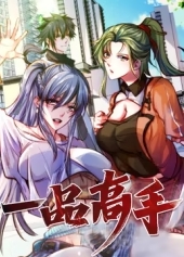 一品高手
